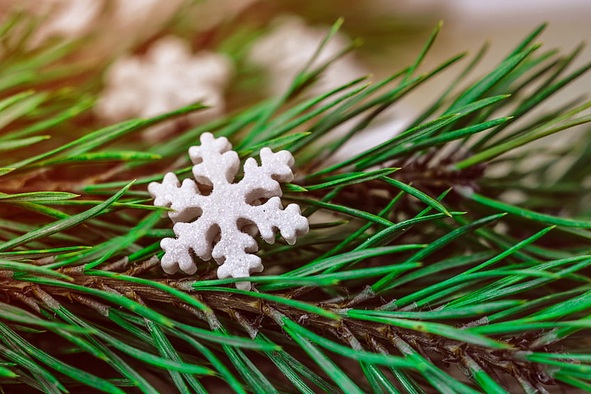 Holidays, Christmas, Fir, Spruce, Snowflake HD wallpaper