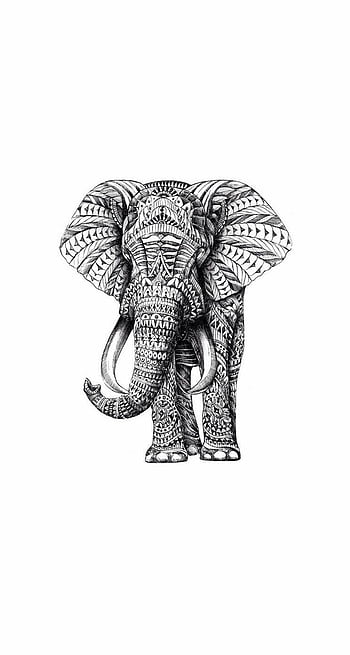 Elephant Blue - Free photo on Pixabay - Pixabay
