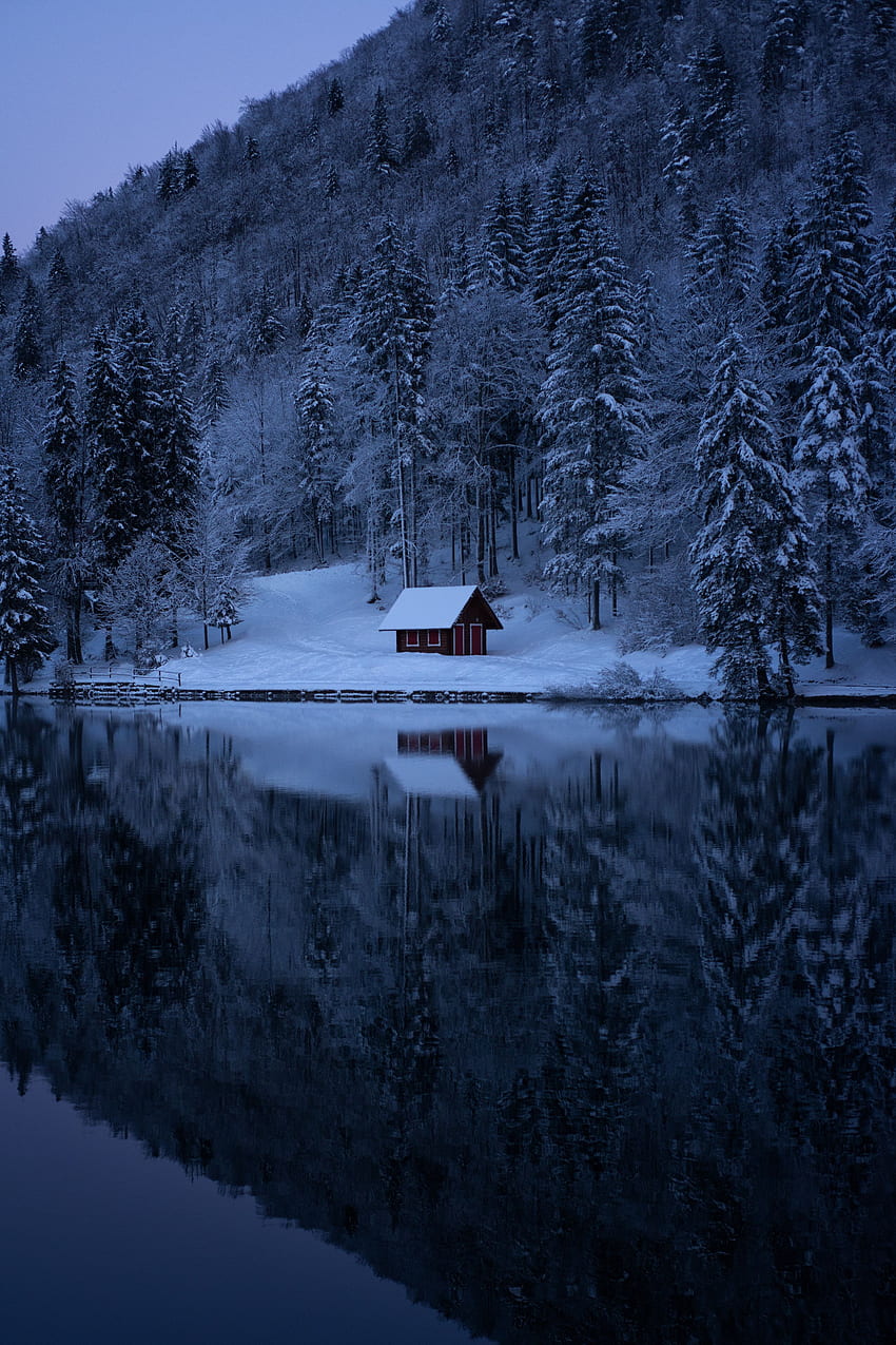 Зима, природа, дървета, сняг, езеро, гора HD тапет за телефон