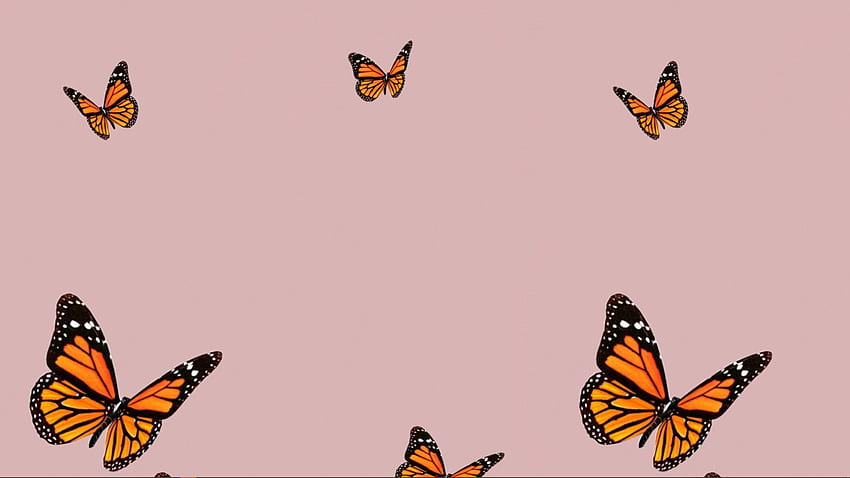 蝶の背景。 かわいい , コンピュータ , かわいいラップトップ, ハートと蝶 高画質の壁紙