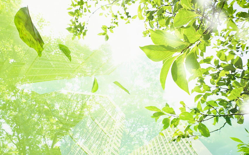 Eco Greening Forward, Environnement Fond d'écran HD