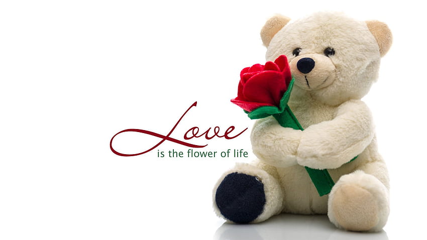 Love Teddy Bear, Flower Teddy Bear HD wallpaper