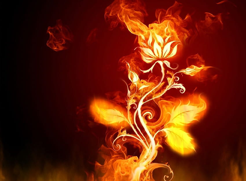 Animated . 3D Animated, Animated Fire HD wallpaper | Pxfuel