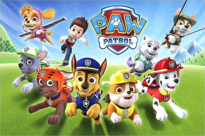 Paw Patrol. Paw Patrol Birtay, Paw Patrol Nickelodeon, Paw Patrol Show, Rocky Paw Patrol Sfondo HD