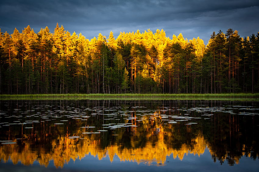 Nature, Trees, Autumn, Lake, Reflection, Reflections HD wallpaper
