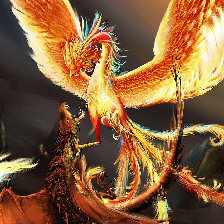 Dragons And Phoenix Rising From Ashes , Mythical Phoenix HD phone wallpaper  | Pxfuel