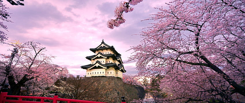 Castillo de Hirosaki Japón Full Ultra Wide TV -, Castles Ultra fondo de pantalla