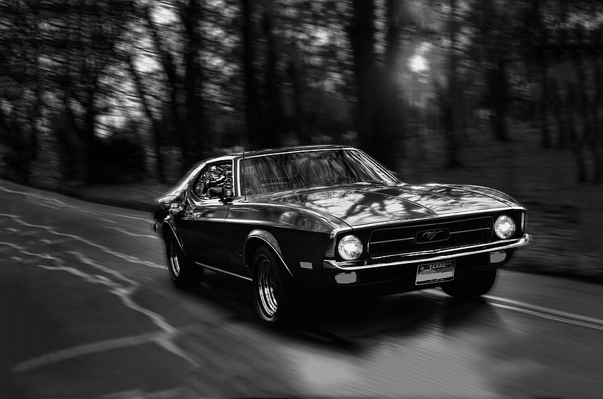 Mustang Black Mustang Vintage Cars - .idokeren, Classic Black Mustang papel de parede HD