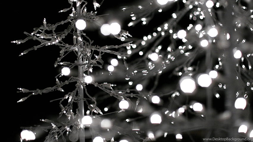 christmas tree tumblr photography