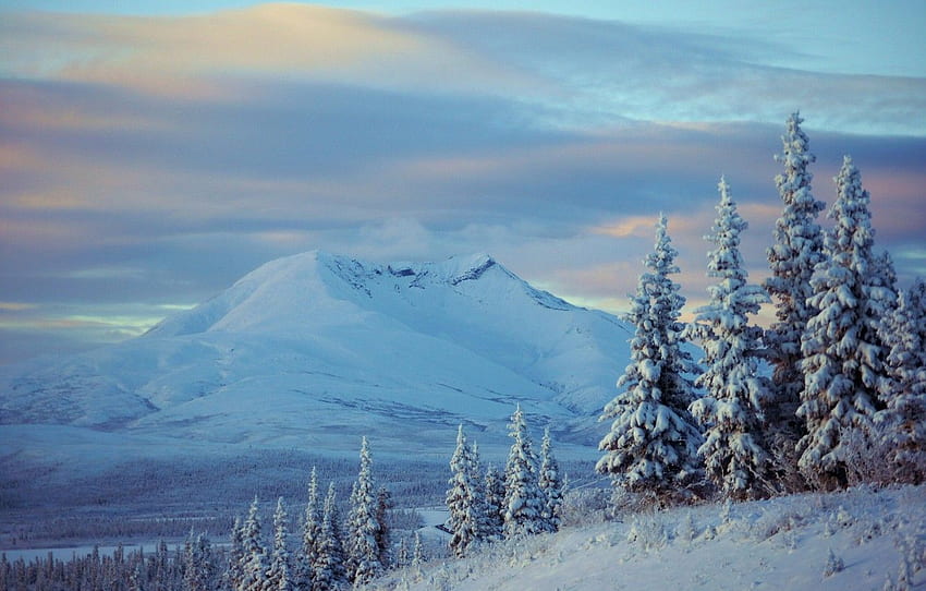 winter, snow, trees, mountains, ate, Alaska, Alaska HD wallpaper