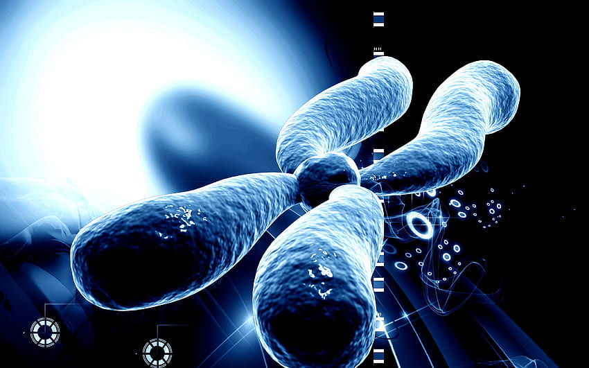 โครโมโซม โครโมโซม พื้นหลัง PowerPoint โครโมโซม และโครโมโซมสีดำ วอลล์เปเปอร์ HD