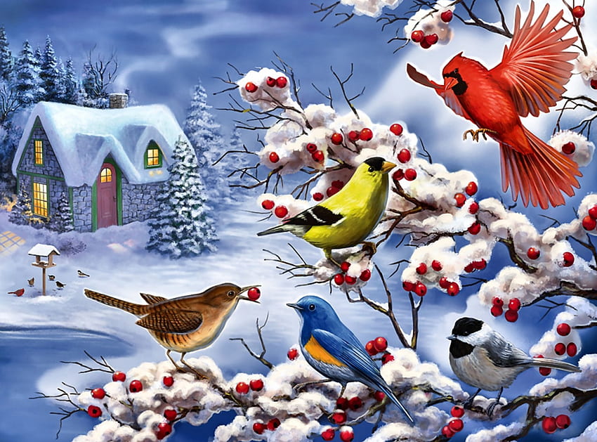 Winter Songbirds F2Cmp, пиленце, зима, пойни птици, изкуство, пейзаж, красива, илюстрация, произведение на изкуството, пейзаж, широк екран, , орех, сняг, синя птица, златка, кардинал HD тапет
