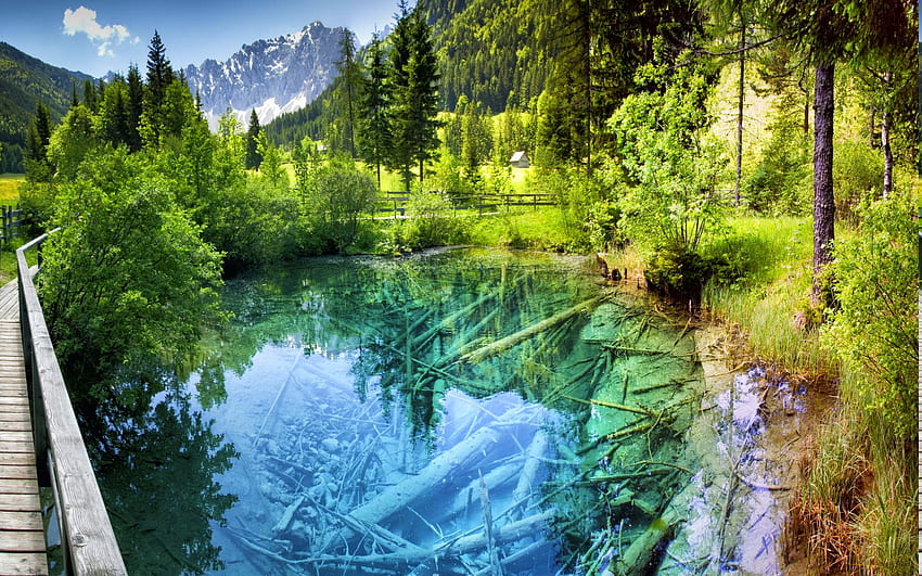 landscape, Nature, Pond, Forest, Walkway, Shrubs, Trees, Water, Turquoise, Mountain, Fence, Summer, Austria, Colorful, Europe, Snowy Peak, Reflection / and Mobile Background HD wallpaper