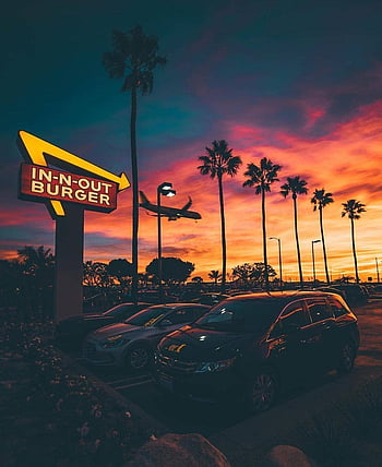 In n out burger HD wallpapers  Pxfuel