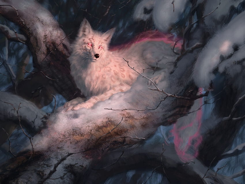 Fantasy wolf, winter, white, yongjae choi, fantasy, iarna, snow, fox, wolf, art HD wallpaper