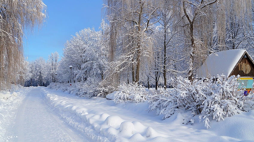 Russian winter  Winter  Nature Background Wallpapers on Desktop Nexus  Image 2459777
