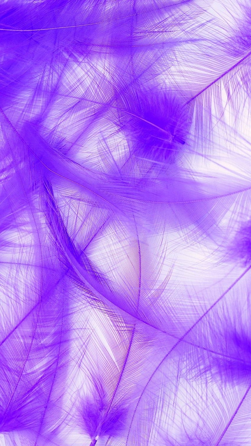 Purple Feather iPhone . 2021 3D iPhone HD phone wallpaper
