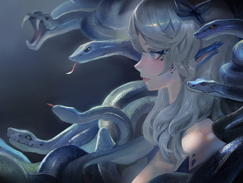 Medusa | Fate stay night anime, Animation art character design, Anime shadow