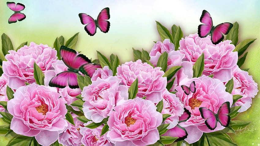 牡丹と蝶、蝶、夏、ピンク、牡丹、Firefox Pesona テーマ、花、植物 高画質の壁紙