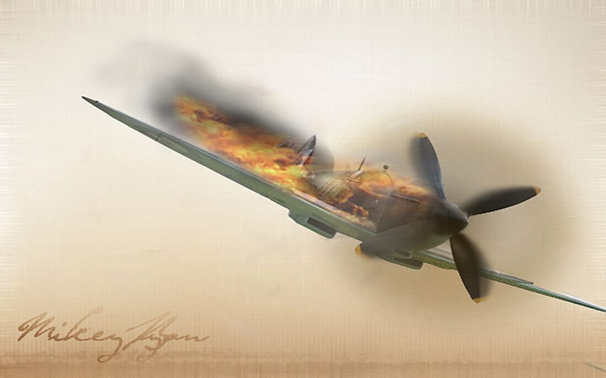 WW2 Fighter Plane, WWII Plane HD wallpaper