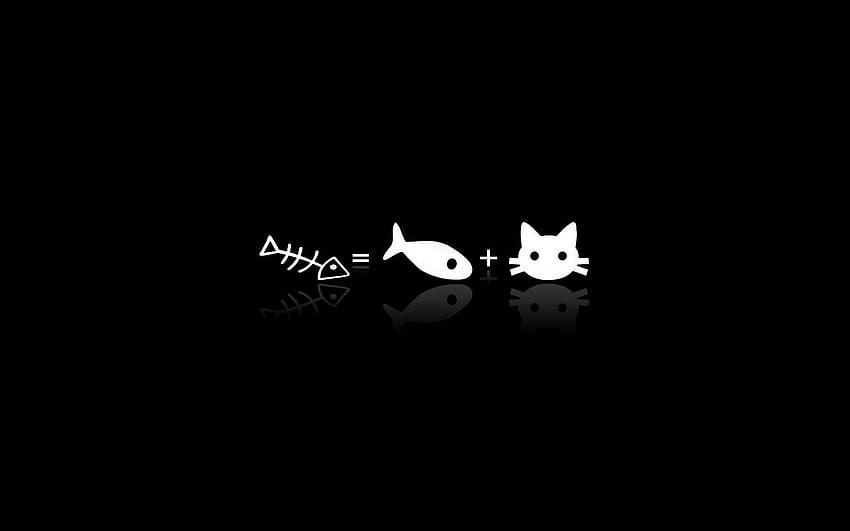 kot czarny minimalizm i tło, minimalistyczny kot Tapeta HD