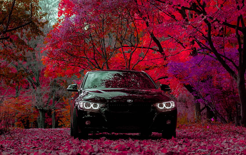 Bmw, Cars, Forest, Car, Front View, Machine, Bmw F30 335I HD wallpaper