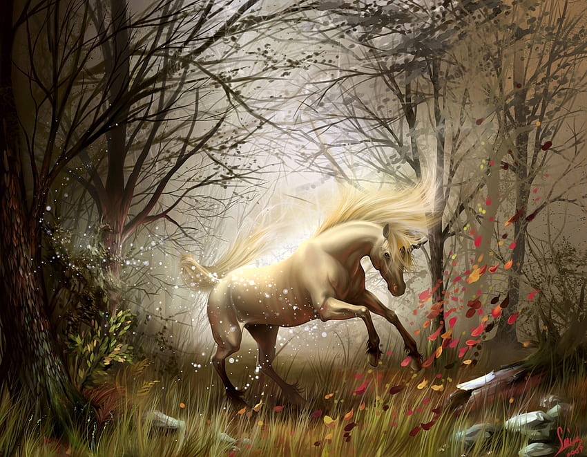 Fantasy, Magic, Forest, Horse, Wind, Transformation, Conversion HD wallpaper