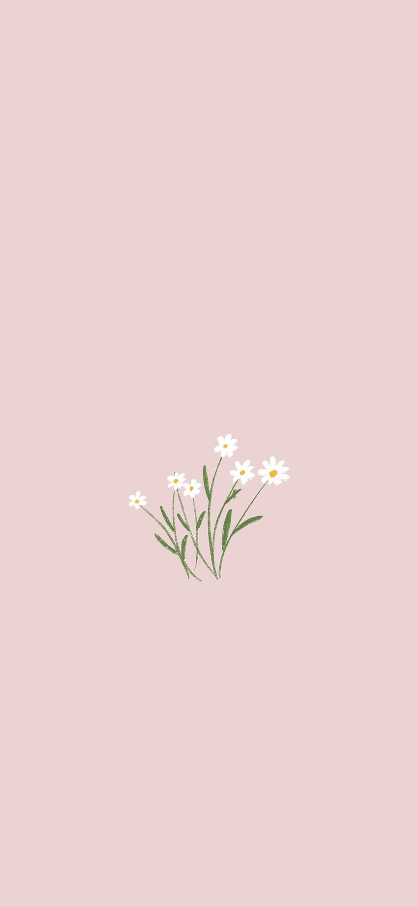 Flowers iPhone plants Minimalist phone [] for your , Mobile & Tablet ...