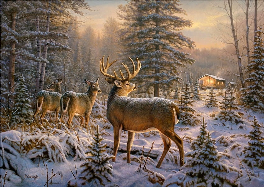 deer family, winter, animals, snow, deer HD wallpaper