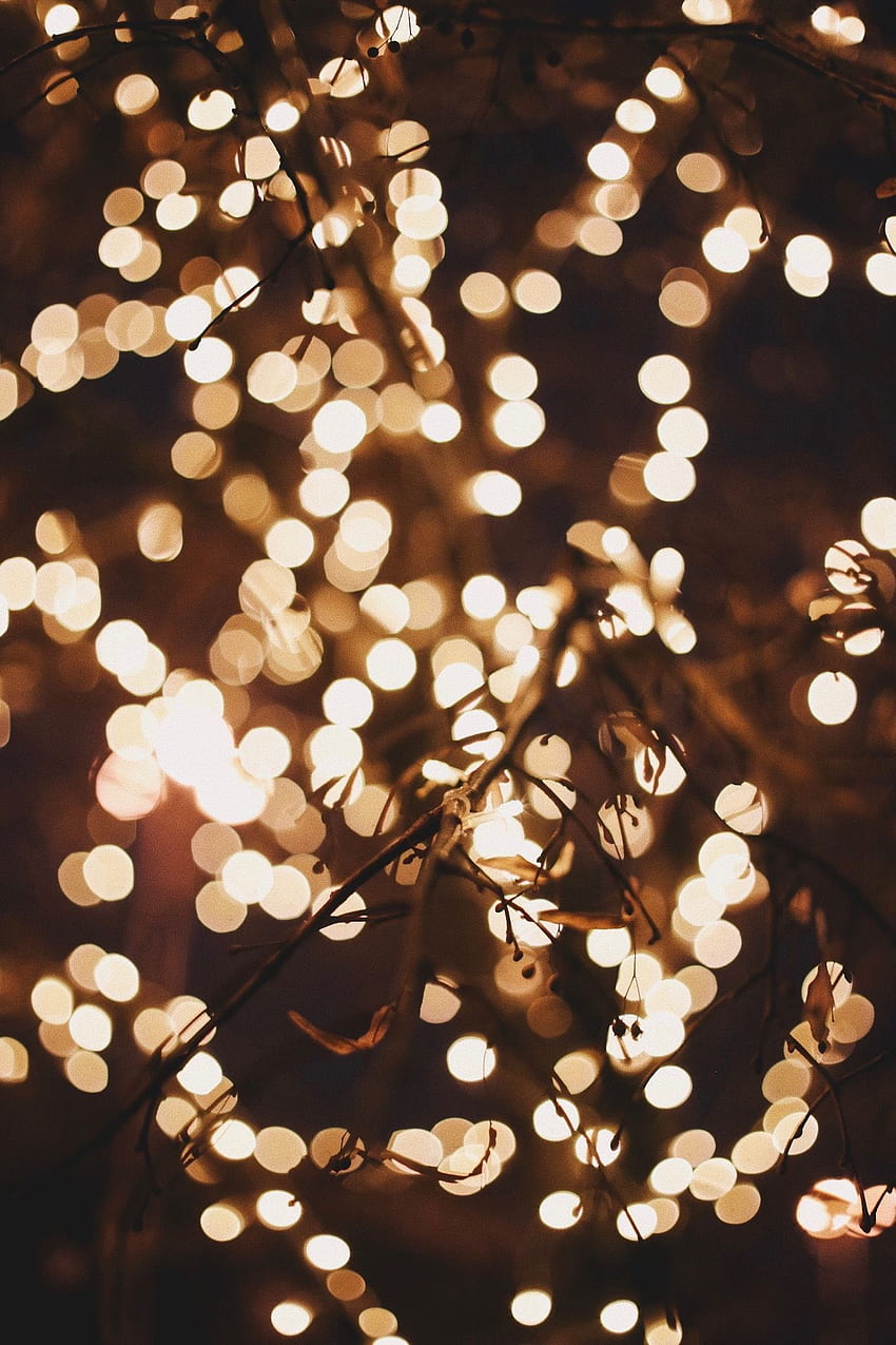 Bright Christmas Lights, Beautiful Christmas Lights HD phone wallpaper ...