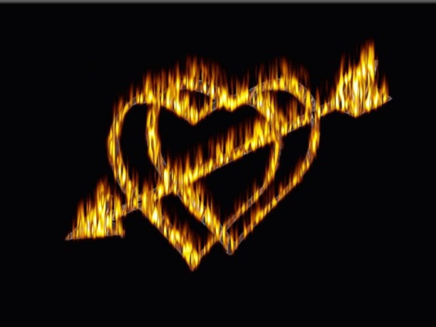 Burning hearts, hearts, cupids arrow, flaming, burning HD wallpaper