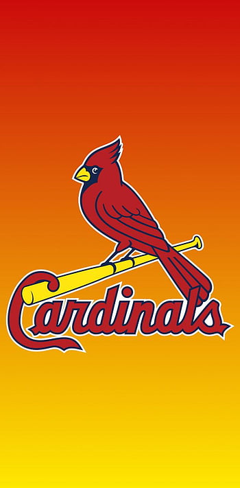 St Louis Cardinals Logo Vector, st louis cardinals baseball HD ...