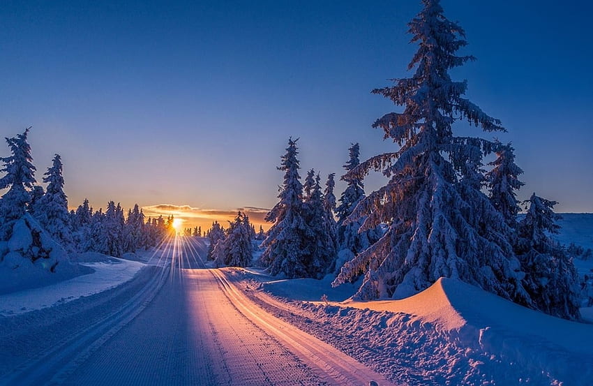 겨울 도로, 겨울, 도로, 자연, 나무 HD 월페이퍼