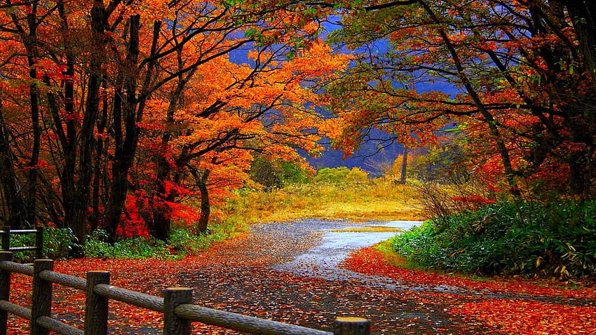 Herbstszenen HD-Hintergrundbild