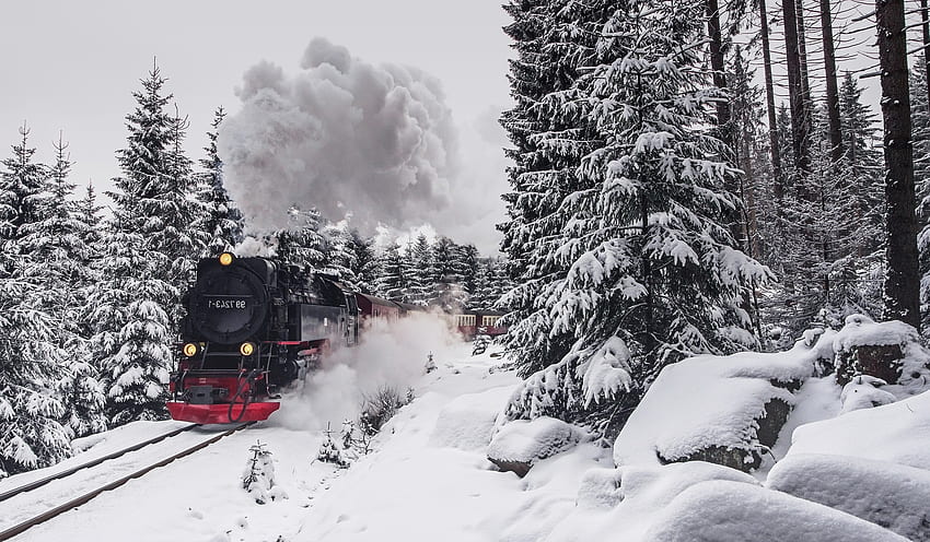 Snow, Trees, Steam Train, Winter - Resolution: HD wallpaper