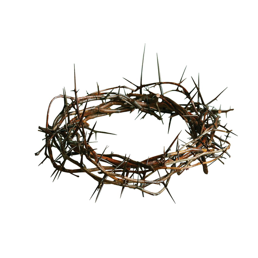 png Crown Of Thorns PNG Transparent Crown Of HD phone wallpaper