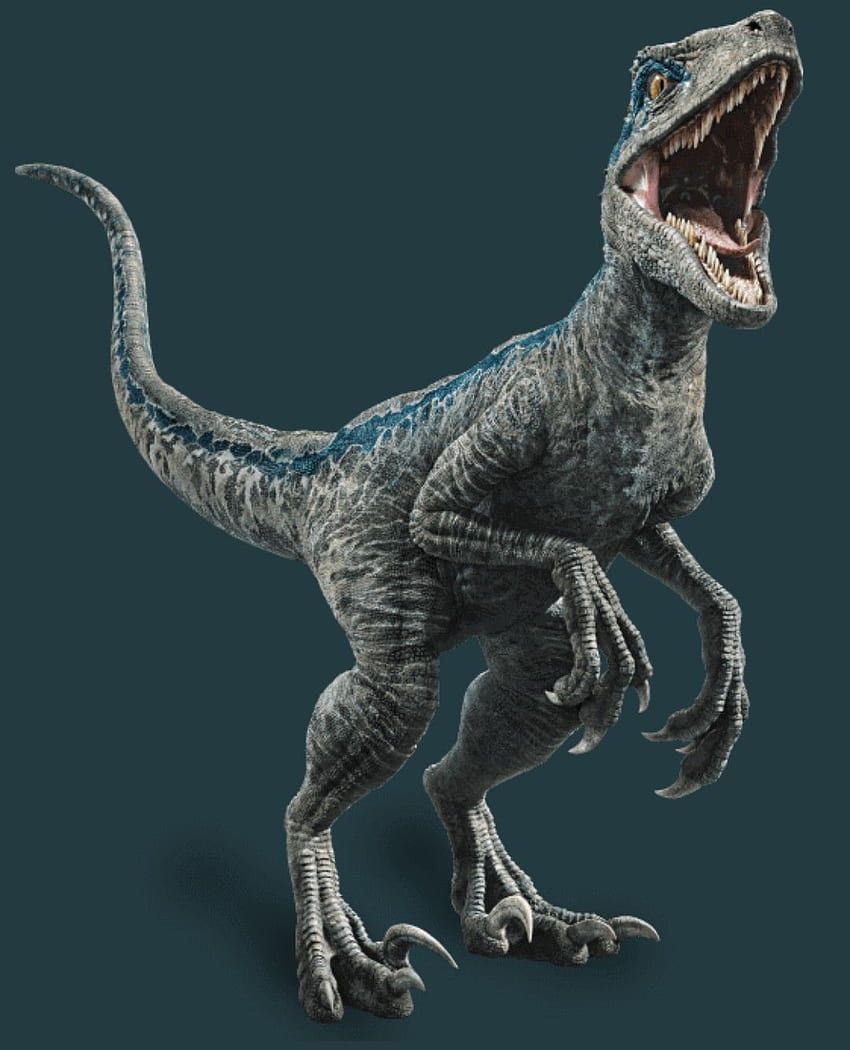 Jurassic World Fallen Kingdom penuh dengan Velociraptor, Velociraptor Blue wallpaper ponsel HD