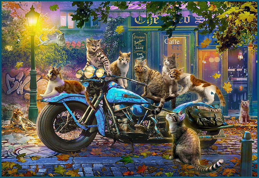 Gatos y motocicletas, obra de arte, gatito, restaurante, pintura, lámpara, calle, pueblo, tarde fondo de pantalla