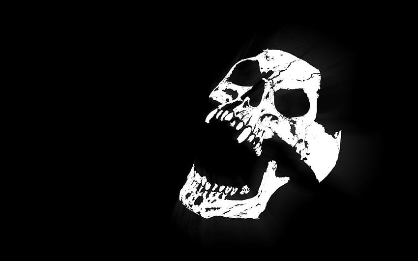 Skull Black Background, Black and White Skull HD wallpaper