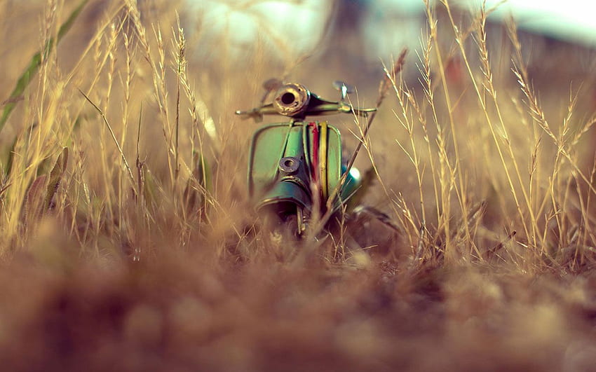Toy Car 39184 px, Small Cars HD wallpaper
