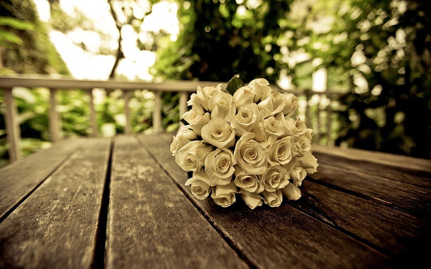 любовни рози -, Chanel Roses HD тапет