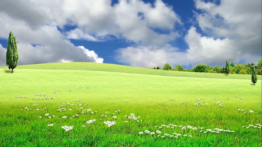 Красива природа Природен пейзаж Видео тревно поле фон [] за вашия мобилен телефон и таблет. Разгледайте фона на полето. Игрище, Сали Фийлд, Открито поле, Тревно поле HD тапет