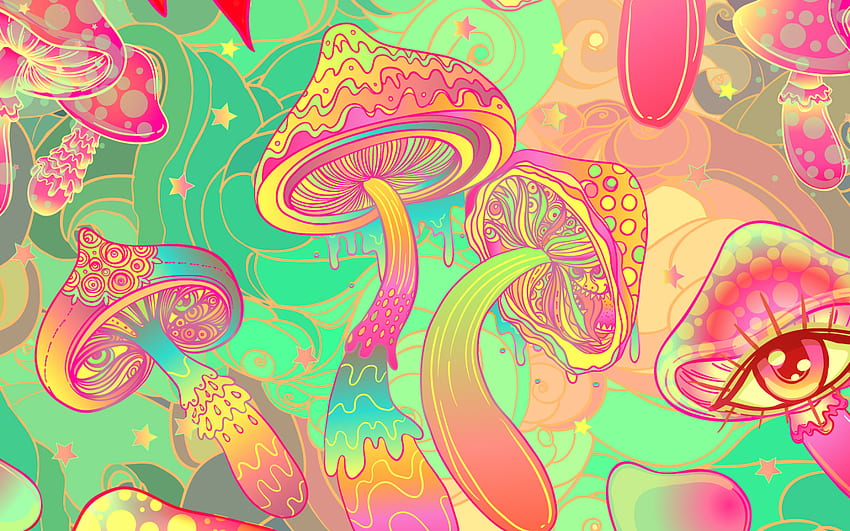 Magiczne grzyby: kolejna wielka rzecz w napojach?, Magic Mushroom Forest Tapeta HD