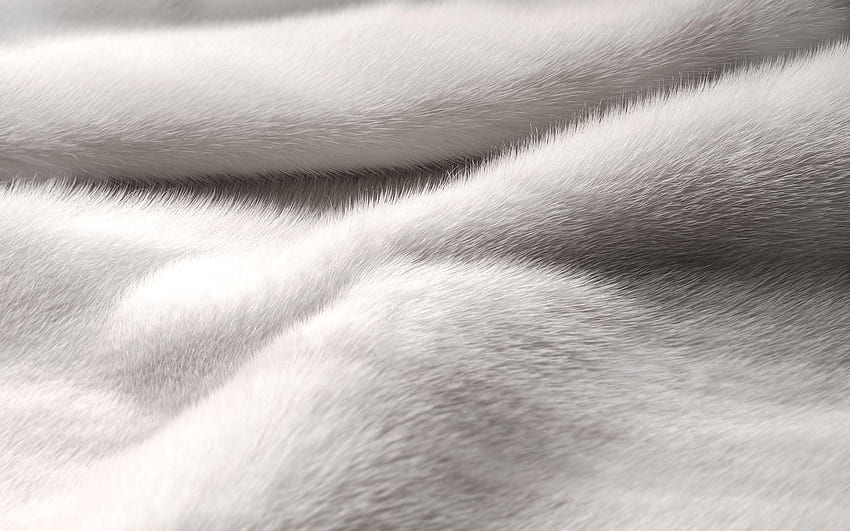 毛皮の背景。 毛皮、ベージュの毛皮とオットセイ、白い毛皮 高画質の壁紙