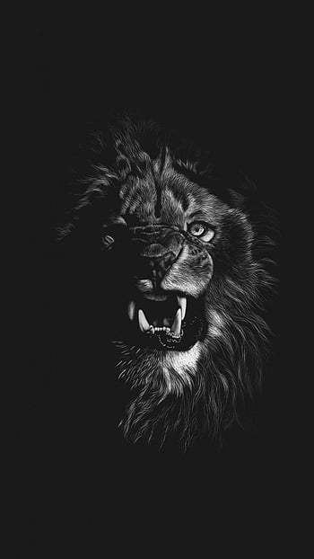 Black lion iphone HD wallpapers | Pxfuel
