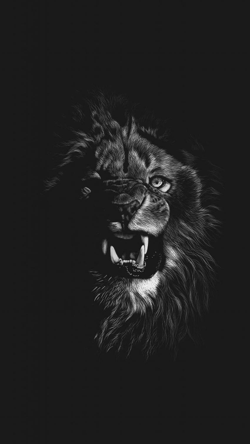 Black lion HD wallpapers | Pxfuel