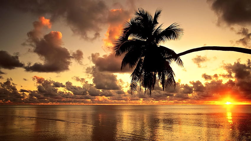 Landscape, Sunset, Beach HD wallpaper