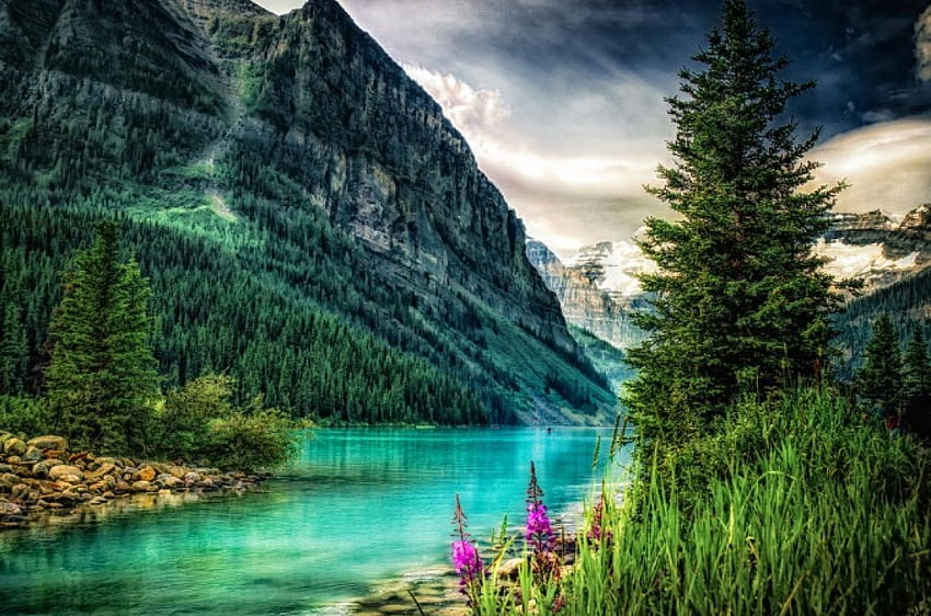 Emerald mountain river, river, landscape, beautiful, rocks, mountain, lake, shore, emerald, cliffs, flowers, sky, riverbank HD wallpaper
