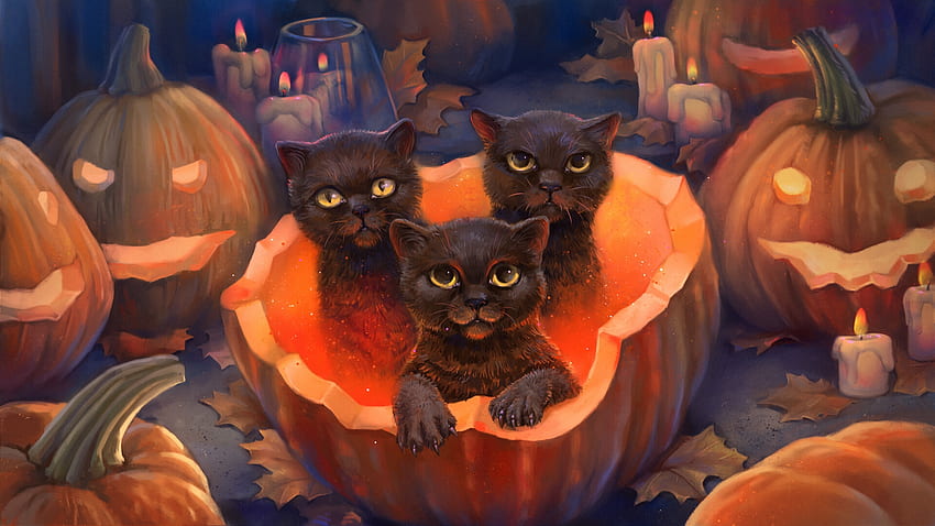 Halloween kittens, kitten, black, fantasy, art, cute, pumpkin, cat, orange, katherine vershinina HD wallpaper