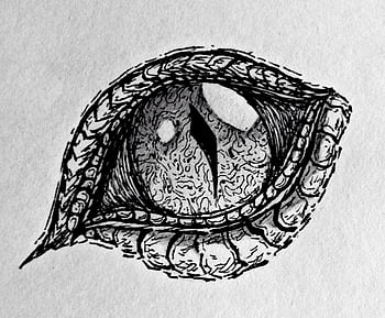 How to Draw a Dragon Eye, Smaug's Eye - FinalProdigy.com